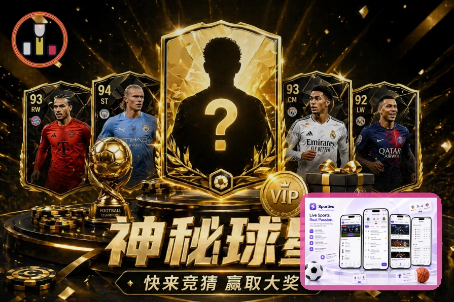 NG体育桌面端访问安全说明